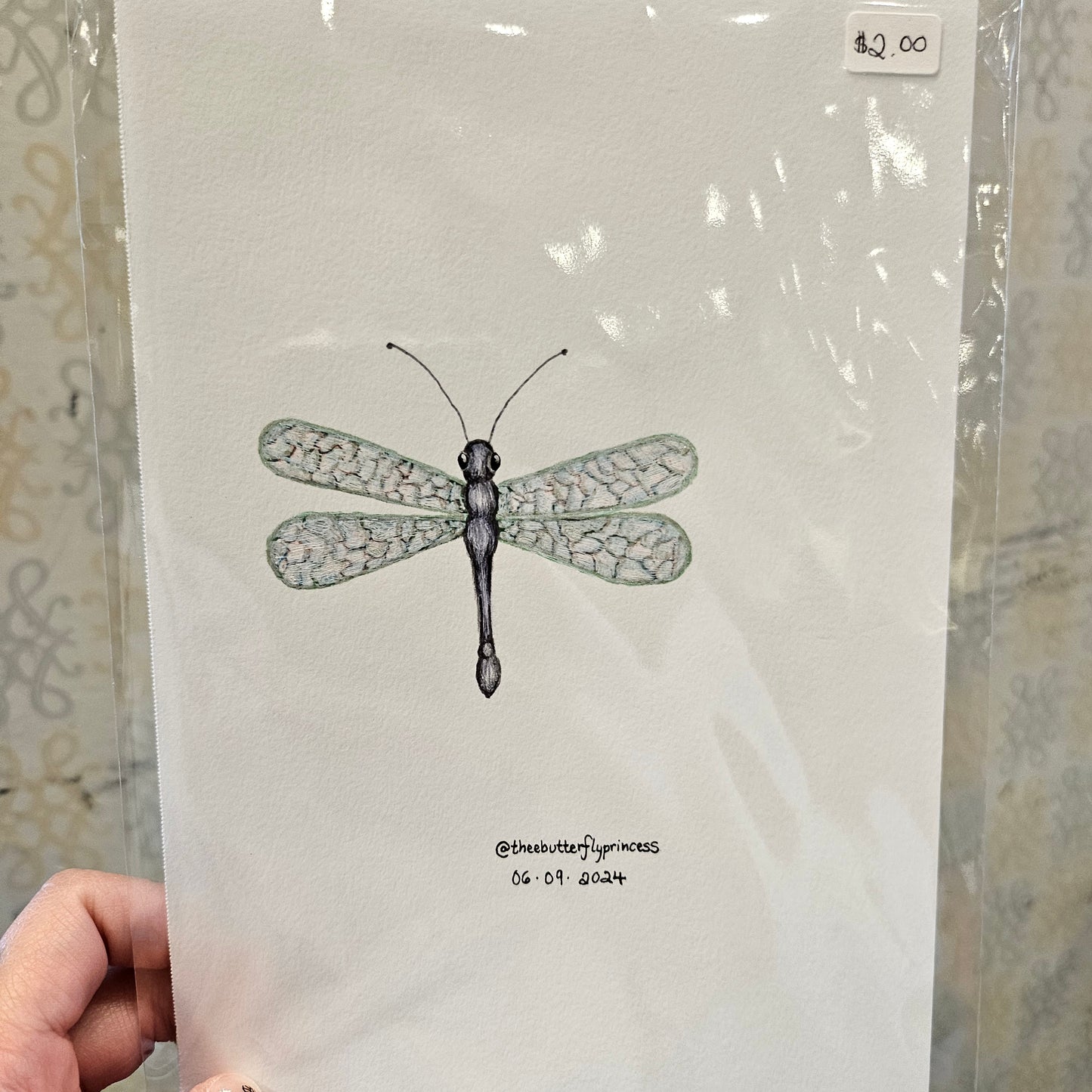 Dragonfly