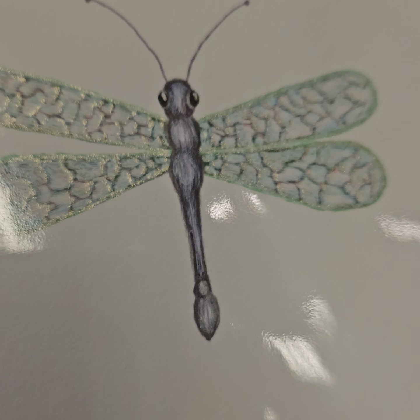 Dragonfly